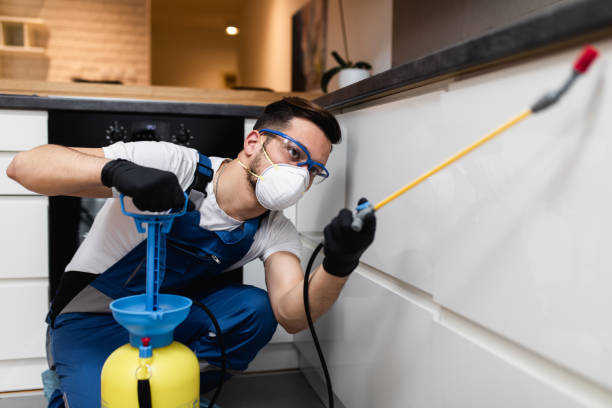 Best Ant Control Services  in Brilliant, AL