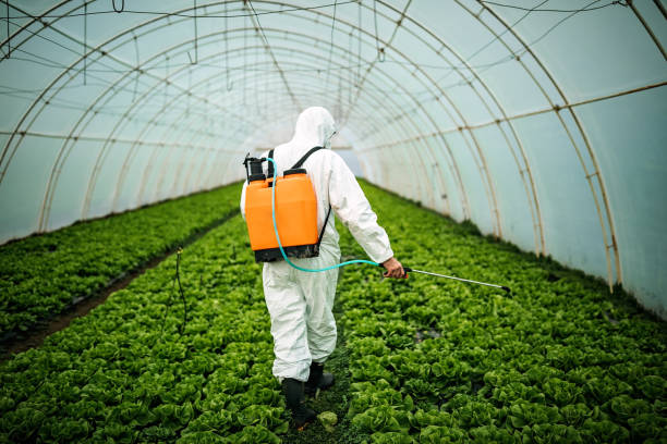 Pest Control Cost in Brilliant, AL