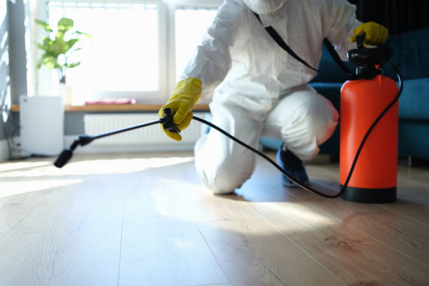 Best Emergency Pest Control  in Brilliant, AL