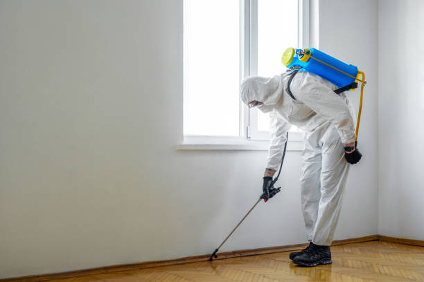 Best Wasp Removal Services  in Brilliant, AL