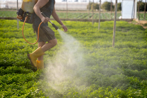 Best Pest Control for Homes  in Brilliant, AL