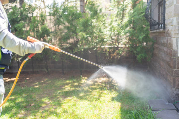 Best Insect Control  in Brilliant, AL