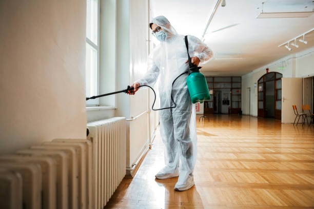 Best Pest Control Near Me  in Brilliant, AL
