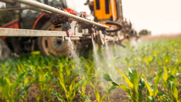 Best Commercial Pest Control Services  in Brilliant, AL